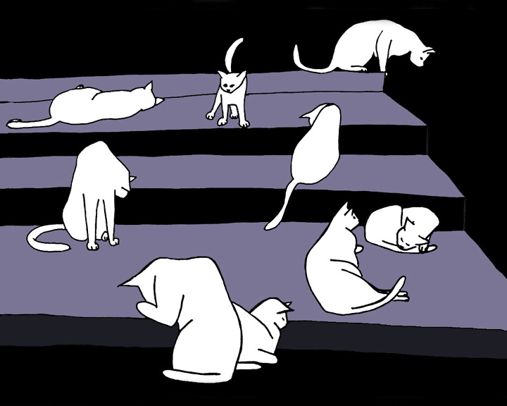 stepscats