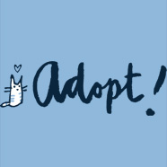 adopt animals