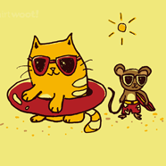 beach cat and mouse