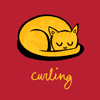 cat olympics curling