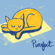 purrfect cat